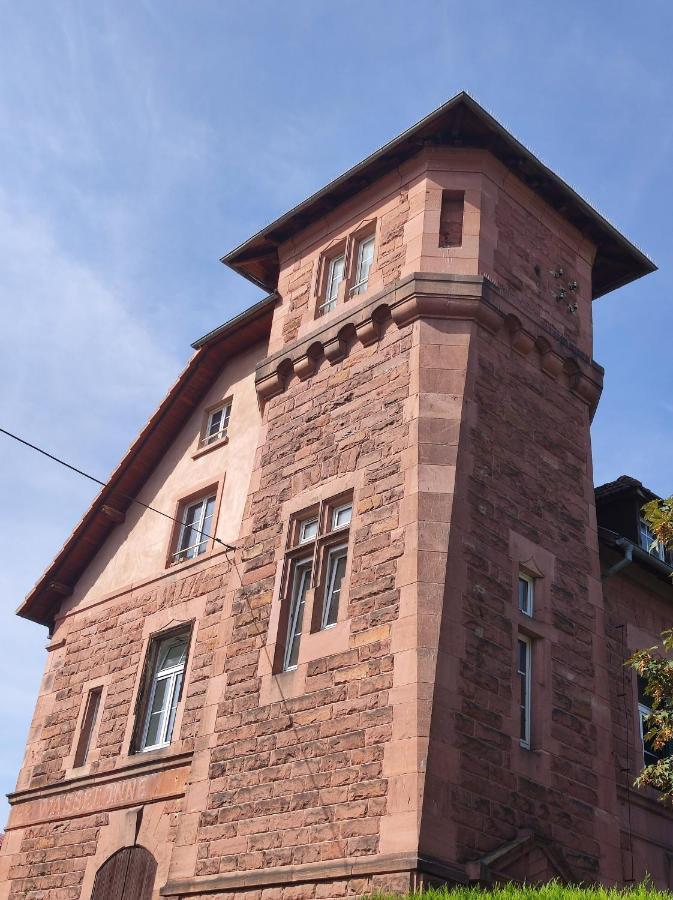 شقة Ancienne Gare 1Er Etage Wasselonne المظهر الخارجي الصورة